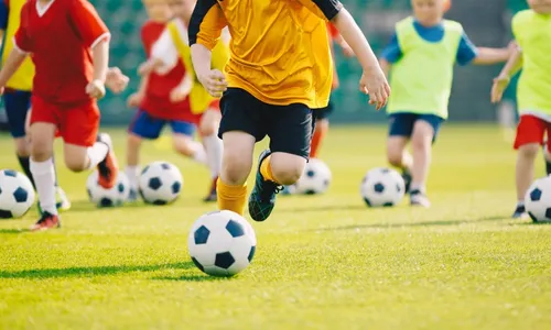 
          Imagem ilustrativa da imagem Vitória terá primeira escolinha social oficial do Botafogo no Brasil
          