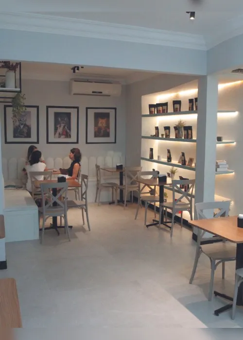 Imagem ilustrativa da imagem Cafeterias com espaço para adoção e “point” para gatos