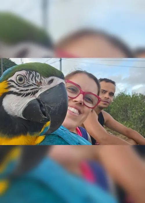 Imagem ilustrativa da imagem Família de Vila Velha procura Lila, arara-canindé que fugiu neste sábado