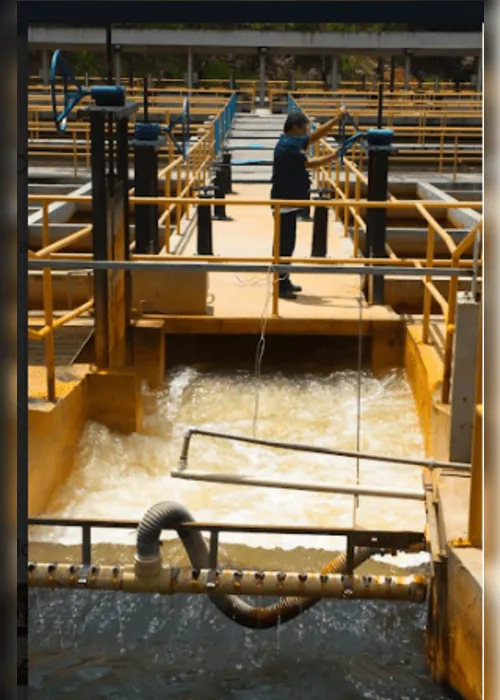 Imagem ilustrativa da imagem Podação de árvores deixa 350 mil pessoas sem água por 2 dias em Jaboatão e Cabo