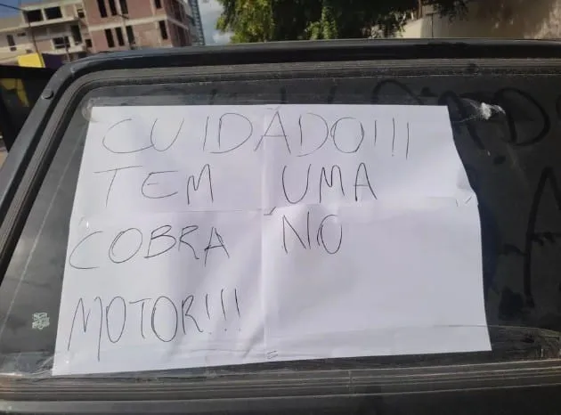 Imagem ilustrativa da imagem Mulher deixa recado para dono de carro após ver cobra entrar em motor de veículo