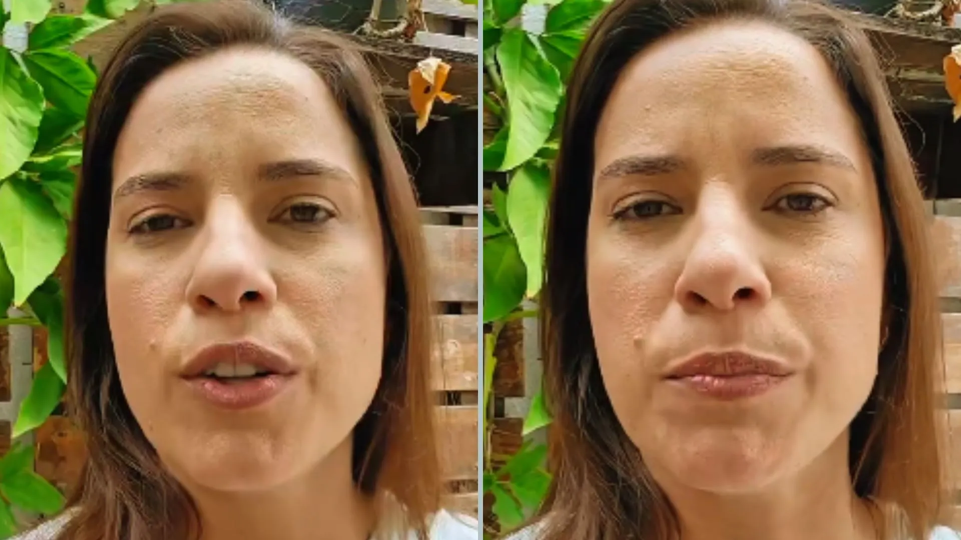 Imagem ilustrativa da imagem Raquel Lyra decreta "tolerância zero" após prisão de policial por feminicídio