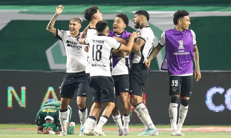 Imagem ilustrativa da imagem Botafogo segura empate com Palmeiras e avança na Copa Libertadores