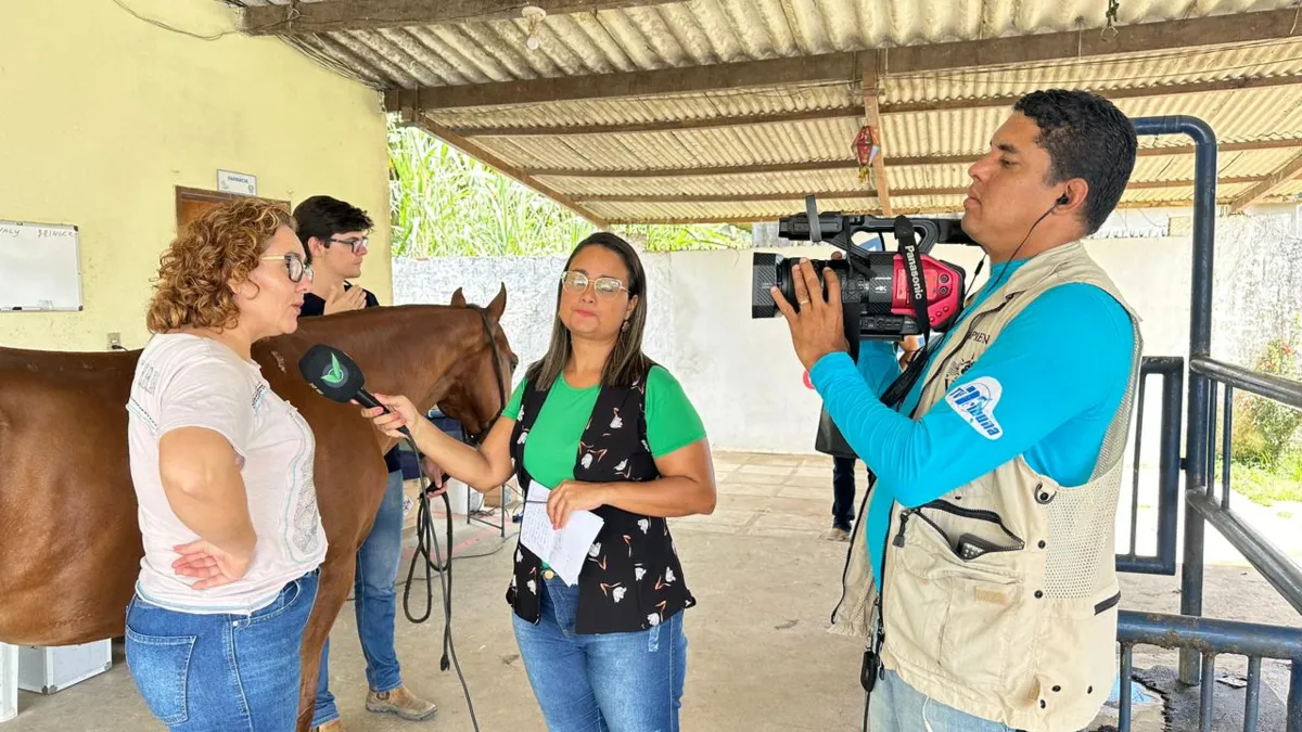 Imagem ilustrativa da imagem Criação de cavalos e turismo rural no Notícias do Campo deste domingo (28)