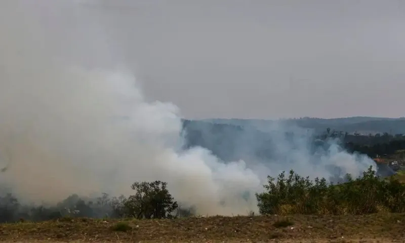 Imagem ilustrativa da imagem Dois suspeitos de atear fogo em áreas rurais no interior de SP são presos