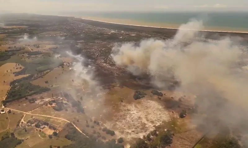 Imagem ilustrativa da imagem Imagens mostram destruição em área de vegetação em Guarapari causada por incêndio