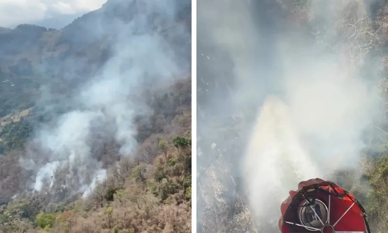 Imagem ilustrativa da imagem Incêndio atinge Parque Estadual Mata das Flores, em Castelo