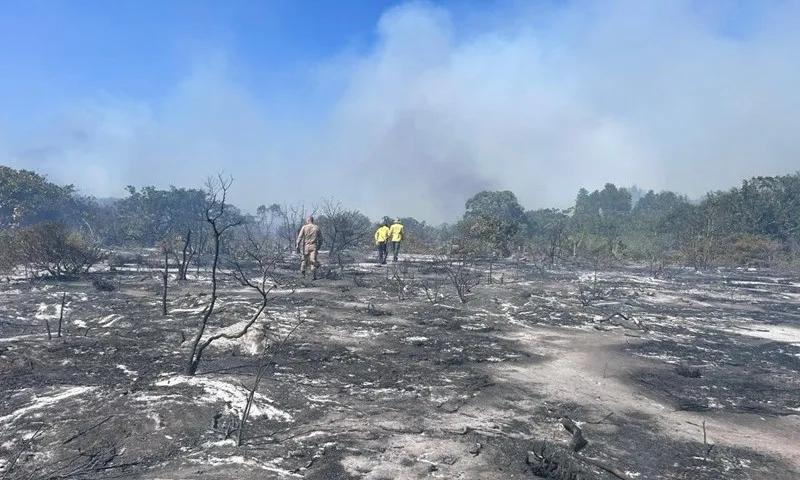 Imagem ilustrativa da imagem Incêndio fecha Parque Paulo César Vinha em Guarapari até segunda-feira