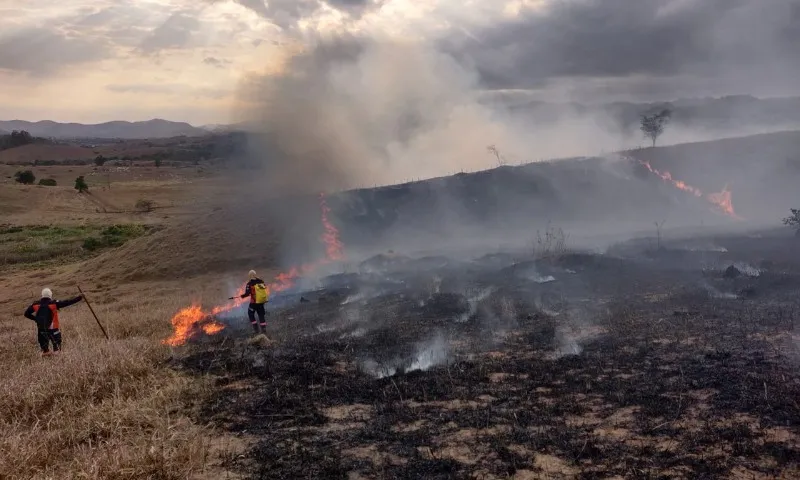 Imagem ilustrativa da imagem Incêndios no ES preocupam especialistas