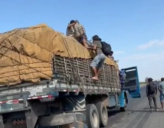 Imagem ilustrativa da imagem PRF flagra caminhoneiro transportando 10 trabalhadores na carroceria