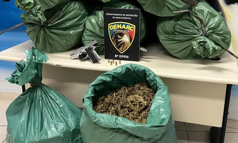 Imagem ilustrativa da imagem Polícia Civil apreende maconha de barão: produto vale R$ 5 mil por quilo