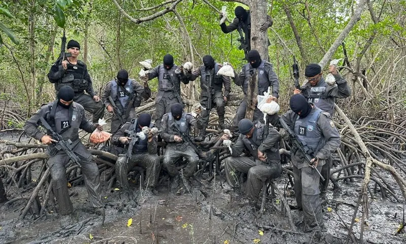 Imagem ilustrativa da imagem Polícia Militar apreende drogas escondidas em área de manguezal em Cariacica