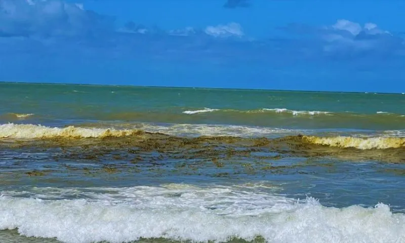 Imagem ilustrativa da imagem Preocupação ambiental em Boa Viagem: bolhas no mar podem indicar poluição de esgoto