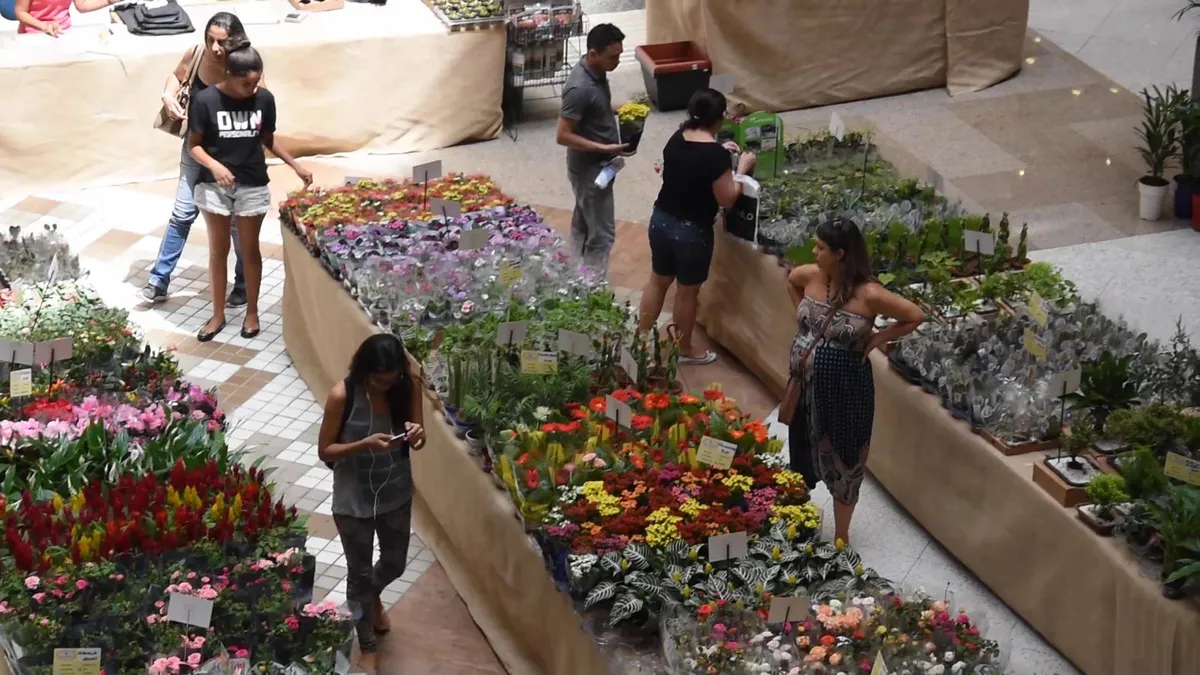 Imagem ilustrativa da imagem Tradicional feira de flores começa nesta quarta-feira (4) no Centro do Recife