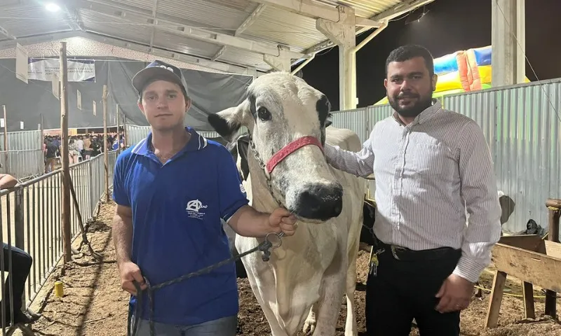 Imagem ilustrativa da imagem Vacas produzem mais de 70 kg de leite por dia e vencem concurso no ES