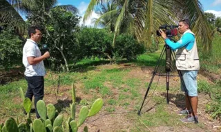 Imagem ilustrativa da imagem Notícias do Campo: Jumento Pêga, cultivo consorciado e móveis rústicos em foco