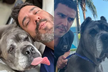 Imagem ilustrativa da imagem André Marques fala de luto por morte de pet:  'Cada um reage de uma maneira'
