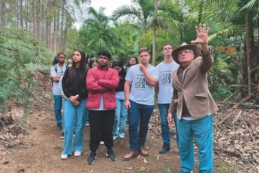 Imagem ilustrativa da imagem Aposentado planta mais de 50 mil árvores