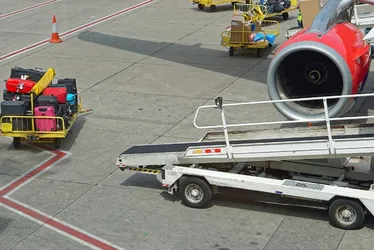 Imagem ilustrativa da imagem Bagageiro infestado de baratas faz avião retornar com as malas dos passageiros