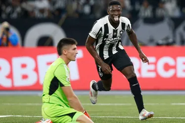 Imagem ilustrativa da imagem Botafogo bate Internacional e se mantém isolado na liderança do Brasileirão