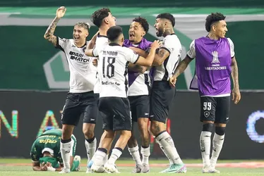 Imagem ilustrativa da imagem Botafogo segura empate com Palmeiras e avança na Copa Libertadores