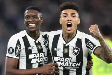 Imagem ilustrativa da imagem Botafogo vence Palmeiras e larga na frente em duelo pelas oitavas da Libertadores