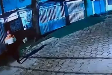 Imagem ilustrativa da imagem Cadela foge, motociclista leva embora e família pede ajuda para recupera-la