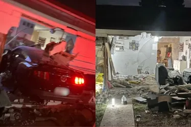 Imagem ilustrativa da imagem Casal e cachorros sobrevivem após carro invadir casa nos EUA