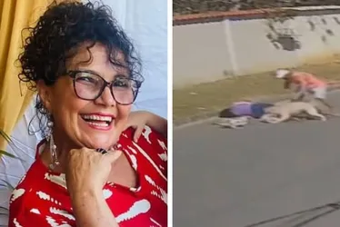 Imagem ilustrativa da imagem Cozinheira morre após ataque de cachorro na Serra