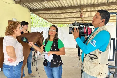 Imagem ilustrativa da imagem Criação de cavalos e turismo rural no Notícias do Campo deste domingo (28)