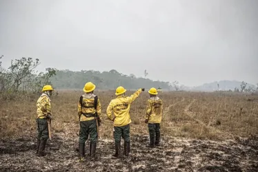 Imagem ilustrativa da imagem Dino autoriza Lula a usar crédito fora da meta fiscal no combate a incêndios