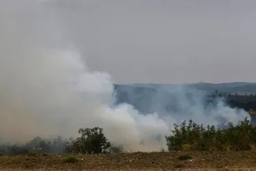 Imagem ilustrativa da imagem Dois suspeitos de atear fogo em áreas rurais no interior de SP são presos