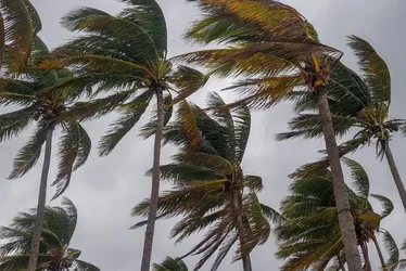 Imagem ilustrativa da imagem Marinha do Brasil alerta para ventos fortes no litoral do ES