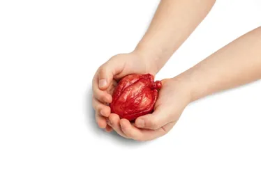 Imagem ilustrativa da imagem Em média, 3.000 brasileiros morrem por ano à espera de transplante de órgãos