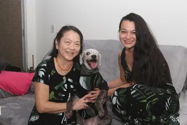 Imagem ilustrativa da imagem Entenda nova lei que proíbe animais sozinhos em casa