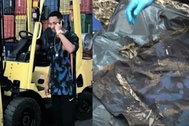 Imagem ilustrativa da imagem Família acredita que ossada encontrada em Vila Velha é de jovem desaparecido