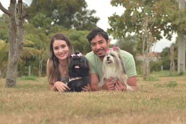 Imagem ilustrativa da imagem Famílias no Espírito Santo têm três milhões de pets