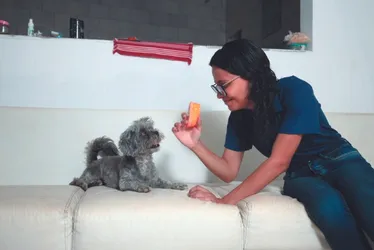 Imagem ilustrativa da imagem Famílias no Espírito Santo têm três milhões de pets
