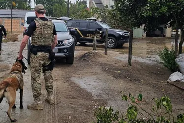 Imagem ilustrativa da imagem Federal mira quadrilha que aliciava "mulas" para trazer cocaína para o ES