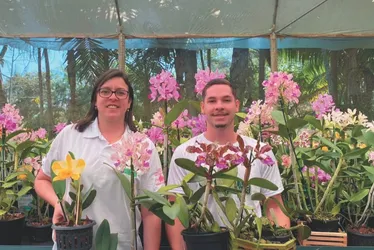 Imagem ilustrativa da imagem Feira com mais de 5 mil orquídeas nas montanhas