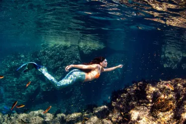 
          Imagem ilustrativa da imagem Ficção cristã para adolescentes inspirada em “A Pequena Sereia”
          