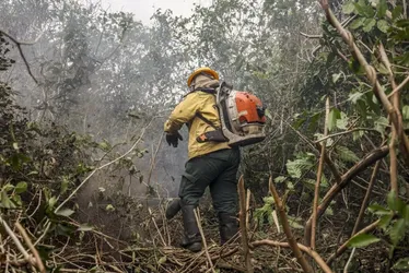Imagem ilustrativa da imagem Governo Lula quer proibição do fogo e crédito extraordinário para Amazônia