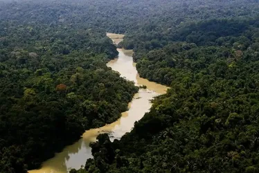 Imagem ilustrativa da imagem Governo processa fazendeiros em R$ 635 milhões por danos climáticos na Amazônia