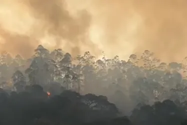 Imagem ilustrativa da imagem Homem é detido após incêndio queimar área equivalente a 10 campos de futebol no ES