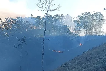 Imagem ilustrativa da imagem Homem é preso suspeito de provocar incêndio em Domingos Martins