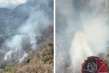 Imagem ilustrativa da imagem Incêndio atinge Parque Estadual Mata das Flores, em Castelo