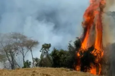 Imagem ilustrativa da imagem Incêndio destrói mais de 100 hectares em propriedades no Sul do ES