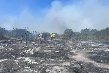 Imagem ilustrativa da imagem Incêndio fecha Parque Paulo César Vinha em Guarapari até segunda-feira