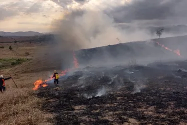 Imagem ilustrativa da imagem Incêndios no ES preocupam especialistas