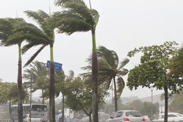 Imagem ilustrativa da imagem Inmet alerta para risco "potencial" de vendaval nesta segunda em cidades do Estado